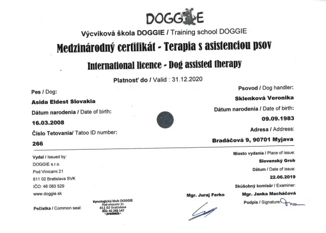 Certifikácie canisterapie