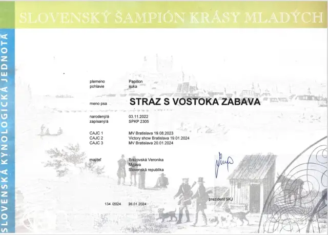 Diplom Slovenský šampión krásy mladých: Straz s Vostoka Zabava (papillon)