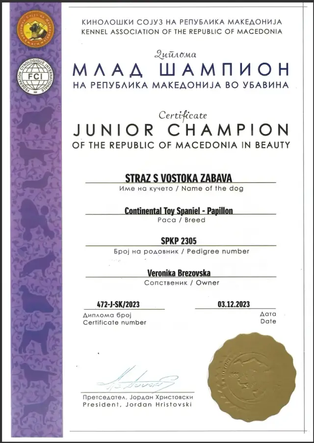 Diplom Junior Champion Macedónska z 3. 12. 2023: Straz s Vostoka Zabava (papillon)