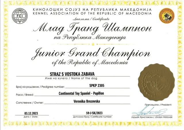 Diplom Junior Grand Champion Macedónska z 3. 12. 2023: Straz s Vostoka Zabava (papillon)