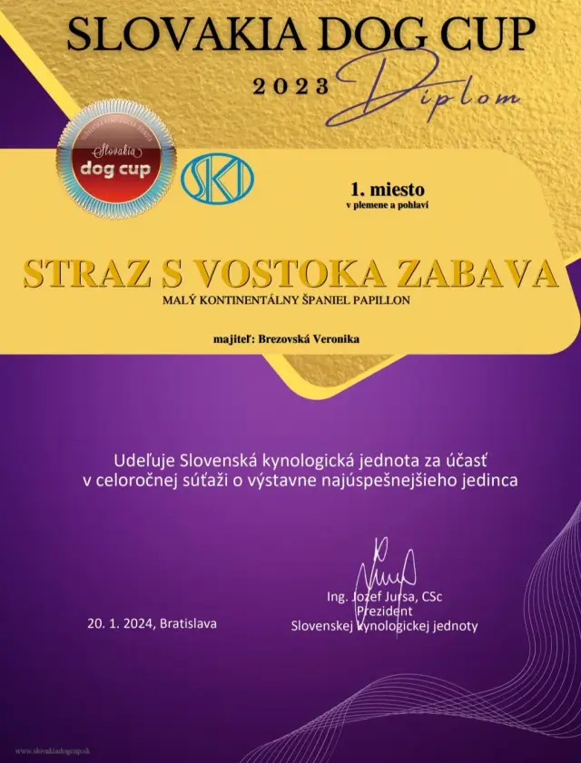 Diplom Slovakia Dog Cup 2023, 1. miesto v plemene a pohlaví: Straz s Vostoka Zabava (papillon)