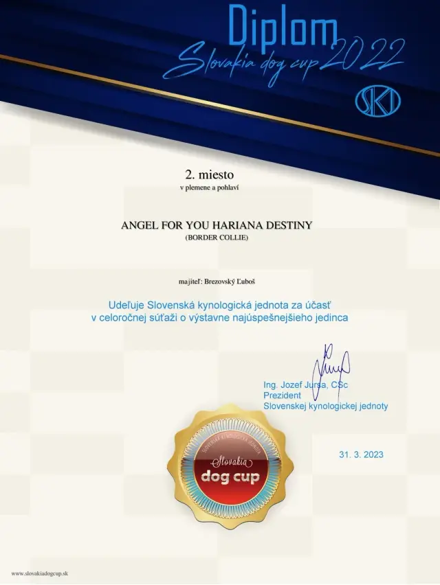 Diplom Slovakia Dog Cup 2022, 2. miesto v plemene a pohlaví: Angel for You Hariana Destiny (border kólia)