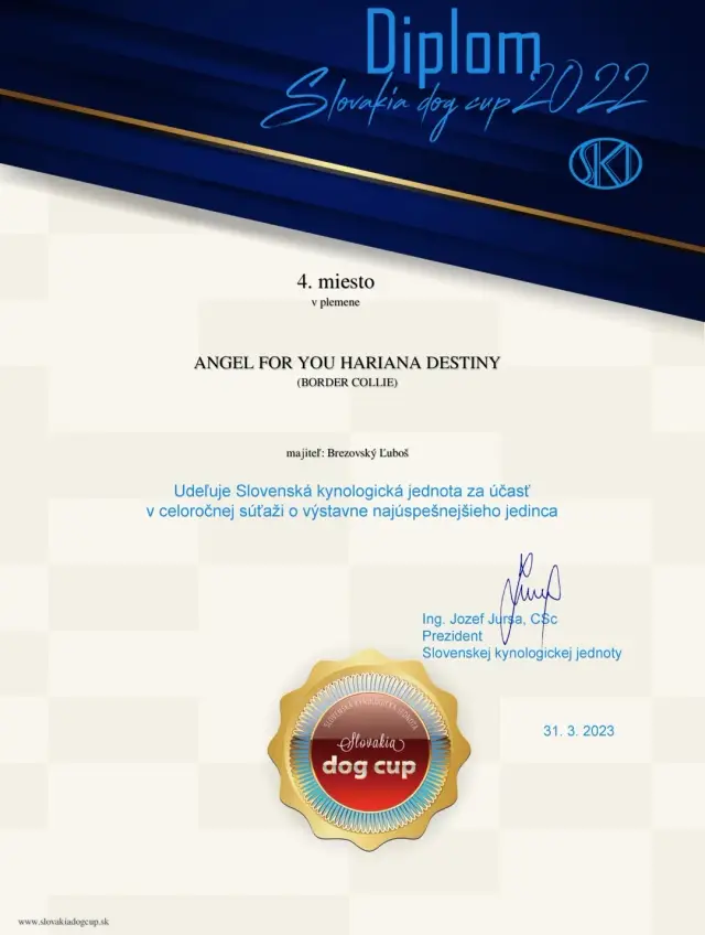 Diplom Slovakia Dog Cup 2022, 4. miesto v plemene: Angel for You Hariana Destiny (border kólia)