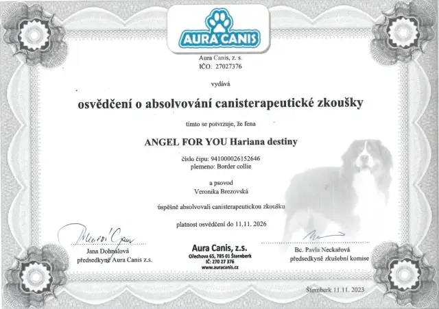 Certifikácie canisterapie